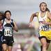 Chelsea High School sophomore Artemis Eyster finishes 45th with a time of 19:39.5 in the MHSAA Lower Peninsula Division Two race on Saturday. Chelsea finished 19th. Daniel Brenner I AnnArbor.com